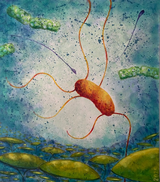 Lion Bamon painting 16